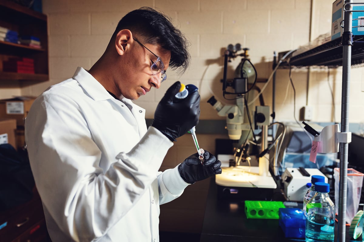 Male student in biology lab conducting an experiment