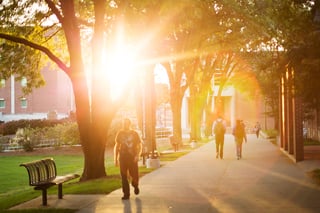 CAMPUS SUNSPOT