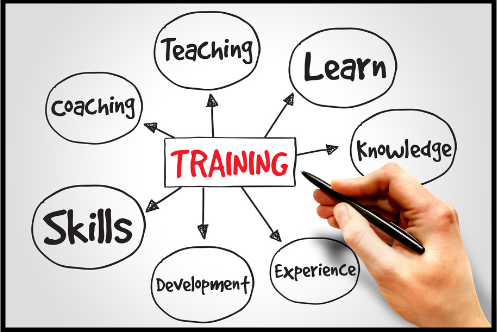 training  is teaching, skills, development, experience, learning
