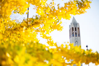 Fall leaves frame the Campanile