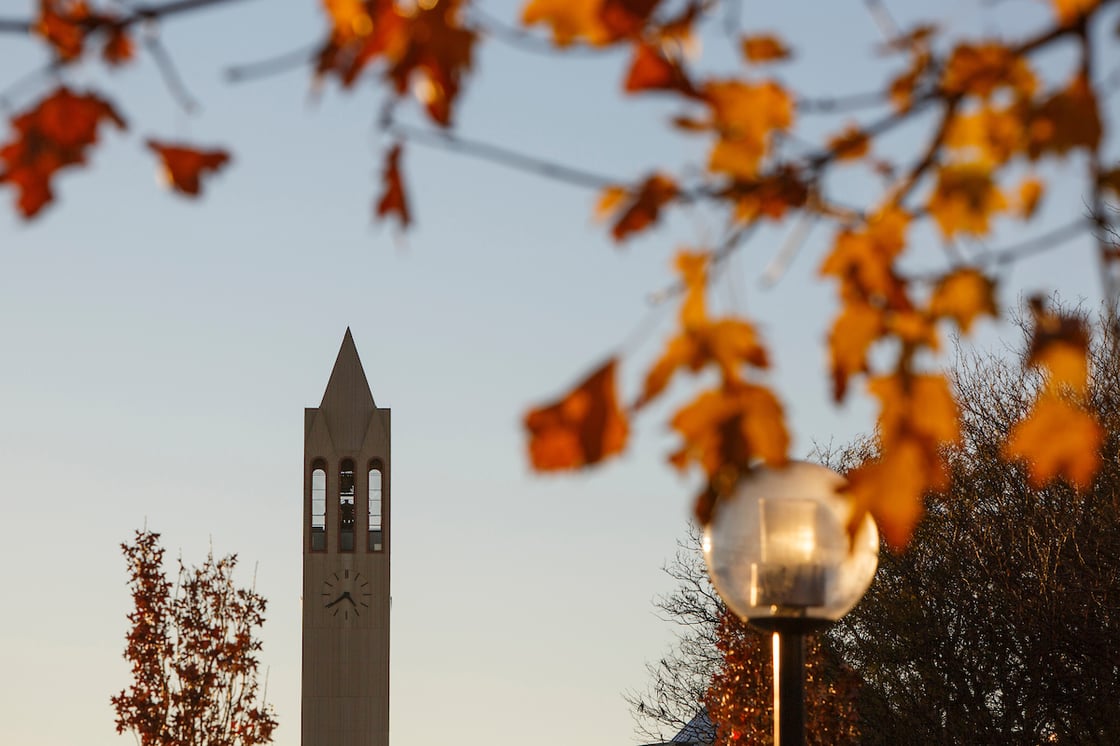 Orange leaves in foreground with UNO bell tower in the background.