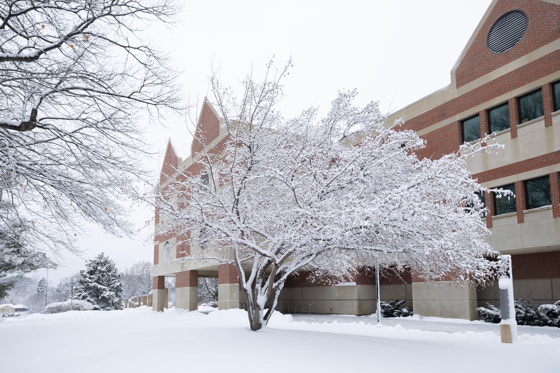 Snow-covered tree in front of a brick university building on a winter day.