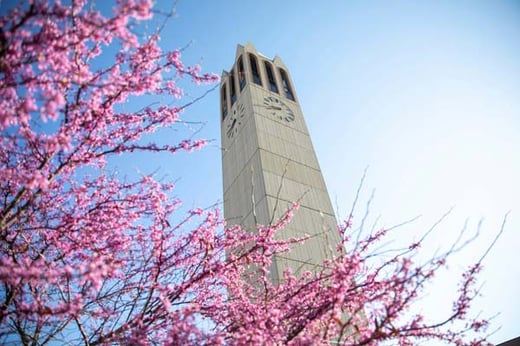 UComm -- MDBE -- campanile spring flowers