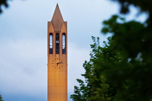 campanile thru trees