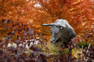 Maverick Monument fall colors