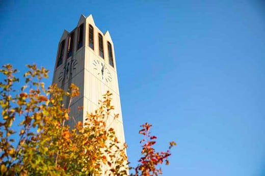 Campanile with Fall leaves
