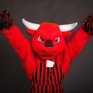 Durango Bibs Pom Poms