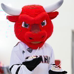Durango Cake