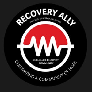  recovery ally 