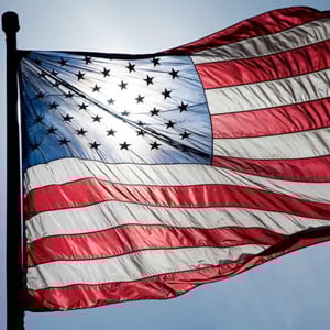 American Flag crop