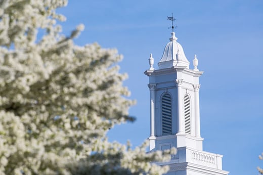 ASH cupola blossoms