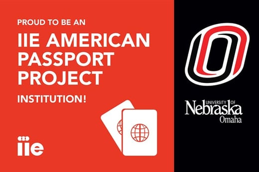 American passport project graphic