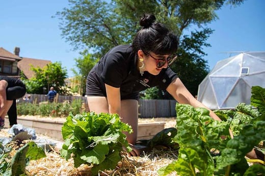 UNO student planting vegetables