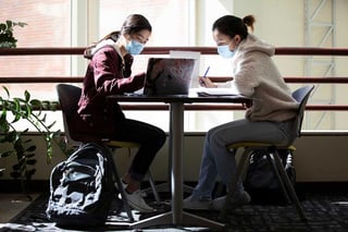 two students wearing masks and studying