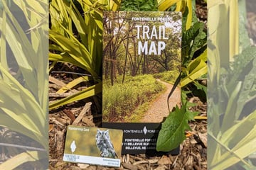 Fontenelle Forest Trail Map and Membership Card exist on top of a wooded backdrop of wood chips and arranged foilage.