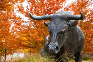 www.unomaha.edu_sharedimages1200x800maverick-monument20211026_maverickmonument_1
